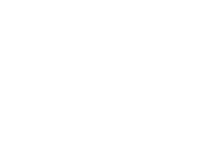 VetsWise — партньорска ветеринарна платформа